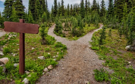 Pathway
