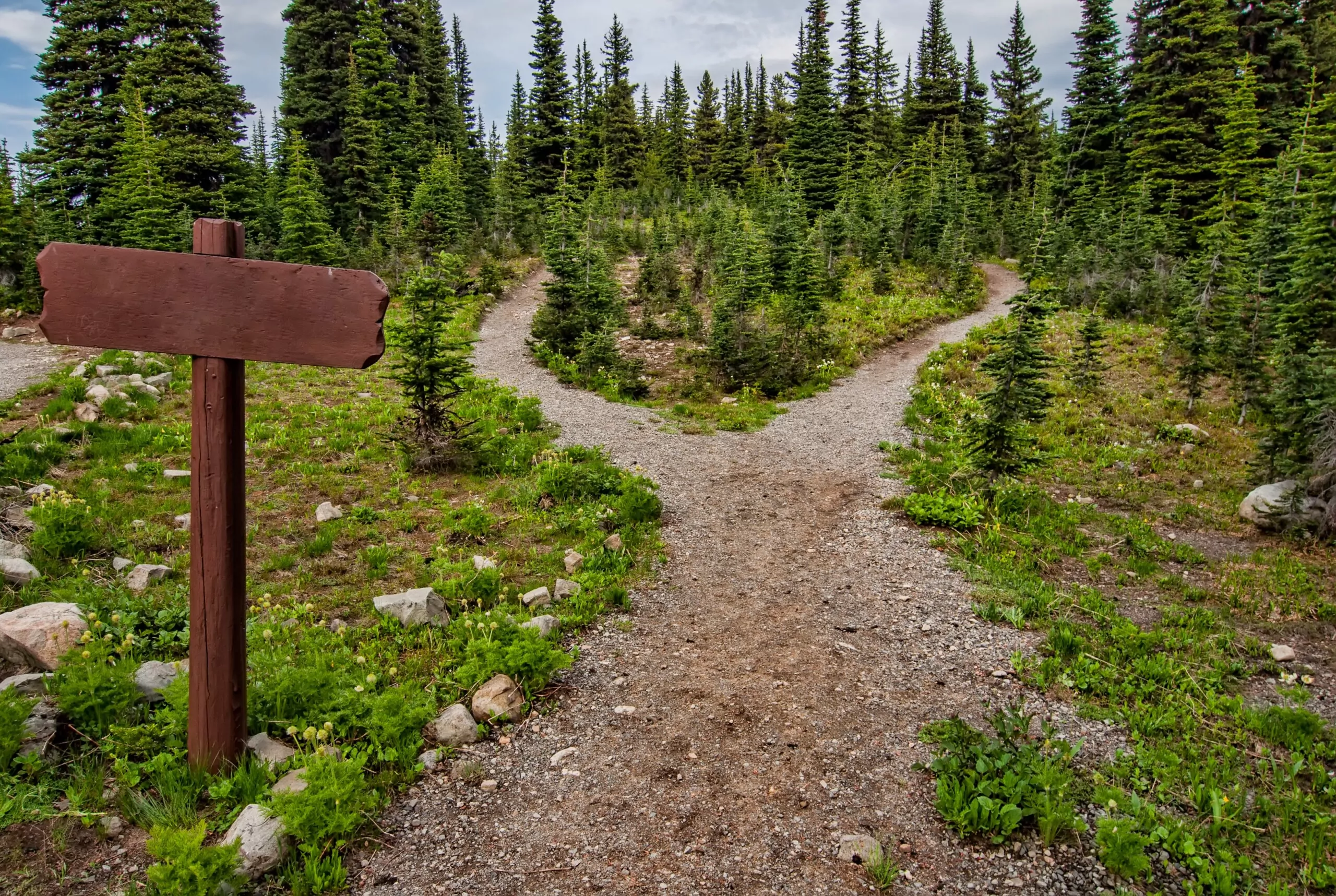 Pathway