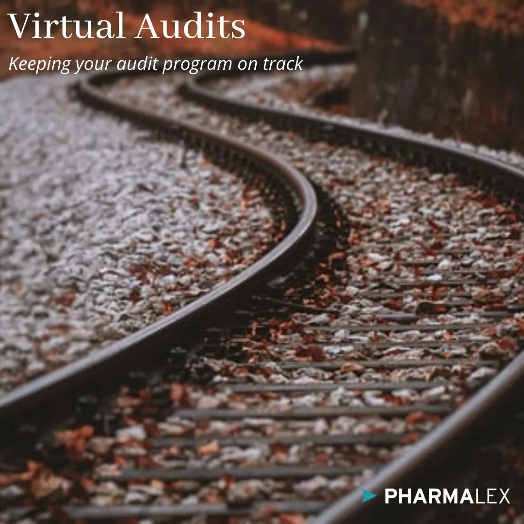 quality system virtual audits