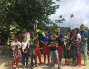 corporate social responsibilitity treedom