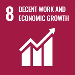 SDG 8 Decent Work and Economic Growth